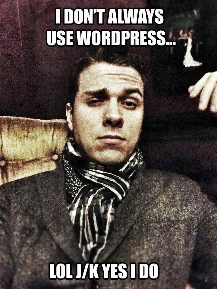 wordpress guy